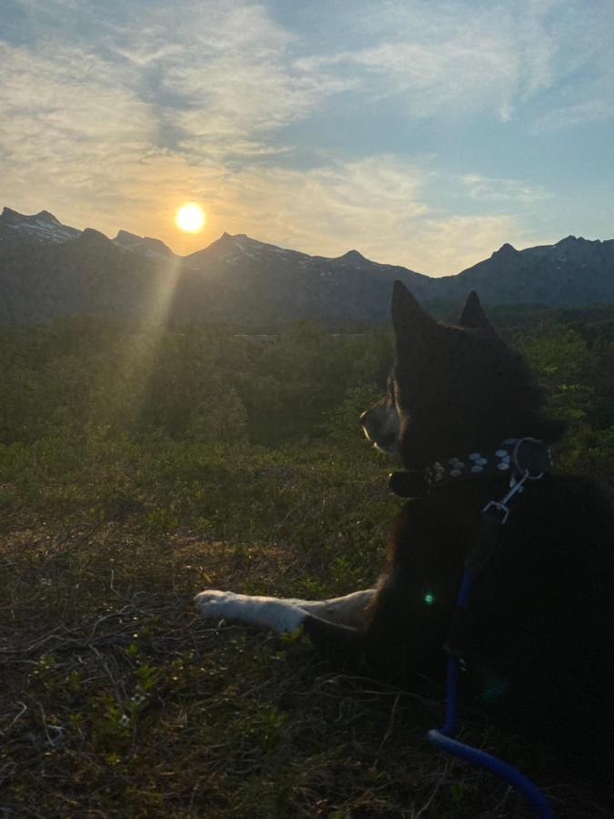Nydelig Leilighet Pa Kreta I Lofoten Kabelvåg Екстериор снимка
